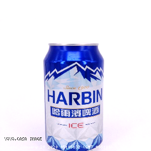 YOYO.casa 大柔屋 - 哈爾濱啤酒 5.0 vol,330ml 