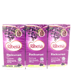 YOYO.casa 大柔屋 - RIBENA blackcurrant Fruit Drink ,200ml*6 