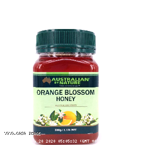 YOYO.casa 大柔屋 - Australian Orange Blossom Honey Australian Honey,500g 