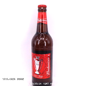 YOYO.casa 大柔屋 - Budweiser Beer Bottle,600ml 