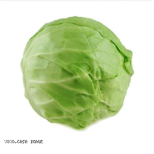 YOYO.casa 大柔屋 - Green Cabbage,,kg <BR>B4