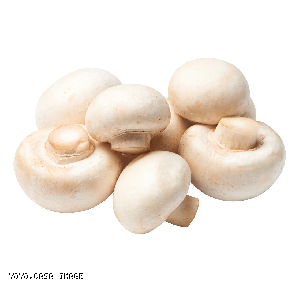 YOYO.casa 大柔屋 - 白蘑菇,150g白碟, <BR>I7