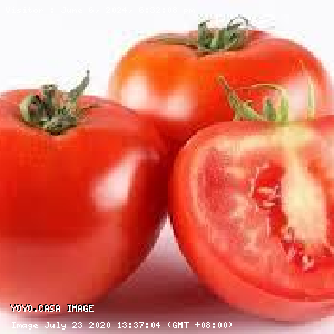 YOYO.casa 大柔屋 - Tomatoes,黑碟,包 <BR>D3