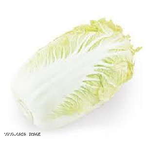 YOYO.casa 大柔屋 - Chinese Cabbage (Small),,kg <BR>B5