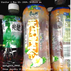 YOYO.casa 大柔屋 - Mr.kon Jasmine Tea With Honey Flavour,500ml 