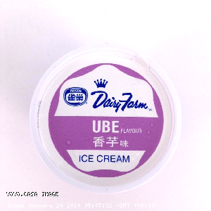 YOYO.casa 大柔屋 - Ube Flavour Ice Cream,150ml 