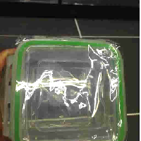 YOYO.casa 大柔屋 - 茶花 微波爐飯盒 730ML3065,730ml 