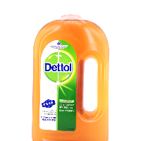 YOYO.casa 大柔屋 - DETTOL Antiseptic Disinfectant,750ml YOYO.casa 大柔屋 - DETTOL Antiseptic Disinfectant,750ml