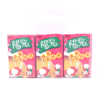YOYO.casa 大柔屋 - 陽光蜂蜜荔枝茶,250ml 