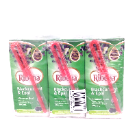 YOYO.casa 大柔屋 - Ribena Blackcurrant and Apple Mixed Fruit Drink,200ml 