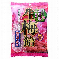 YOYO.casa 大柔屋 - 利邦紀州南高梅糖,100g 