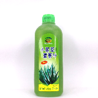 YOYO.casa 大柔屋 - 大支裝綠點小麥草蘆薈汁,960ml 