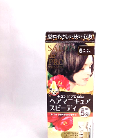 YOYO.casa 大柔屋 - サロンドプロ 白髪用 ヘアマニキュア・スピーディ 6 ダークブラウン,100g 