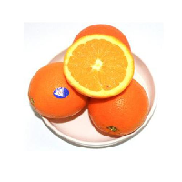 YOYO.casa 大柔屋 - Orange, YOYO.casa 大柔屋 - Orange,