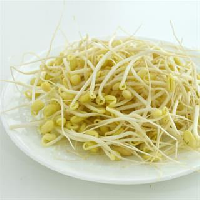 YOYO.casa 大柔屋 - 大豆芽,,kg <BR>W12