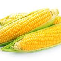 YOYO.casa 大柔屋 - Sweet corn 2S,2支庄,包 <BR>C4