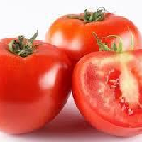 YOYO.casa 大柔屋 - Tomatoes,黑碟,包 <BR>D3