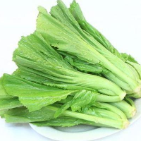 YOYO.casa 大柔屋 - leaf mustard,,包 <BR>B8 YOYO.casa 大柔屋 - leaf mustard,,包 <BR>B8