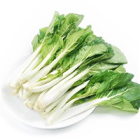 YOYO.casa 大柔屋 -  Pak Choi baby,,包 <BR>A11