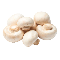 YOYO.casa 大柔屋 - 白蘑菇,150g白碟, <BR>I7