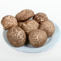 YOYO.casa 大柔屋 - Fresh Mushroom,1s <BR>I5 YOYO.casa 大柔屋 - Fresh Mushroom,1s <BR>I5