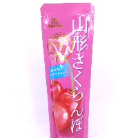 YOYO.casa 大柔屋 - GOLDPAK Yamagata Cherry Juice Popsicle,90g 