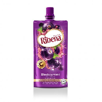 YOYO.casa 大柔屋 - Ribena Blackcurrant Fruit Drink,300ml 